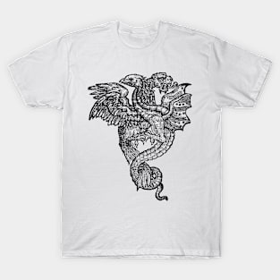 Serpent vs. Bird T-Shirt